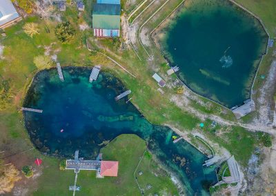 Vortex Springs