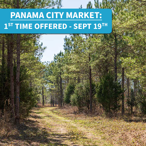 Crosswater Ranches