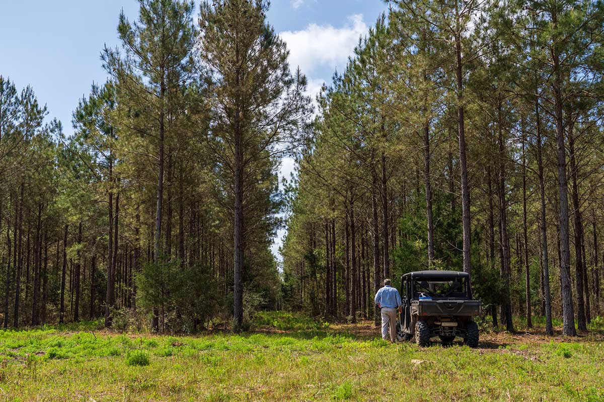 Crosswater Ranches