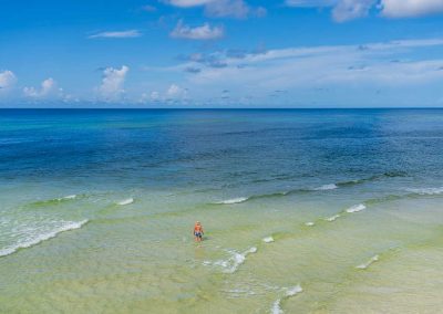 Palmetto Cove Ranch
