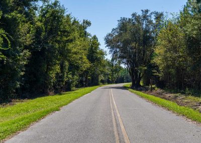 Palmetto Cove Ranch
